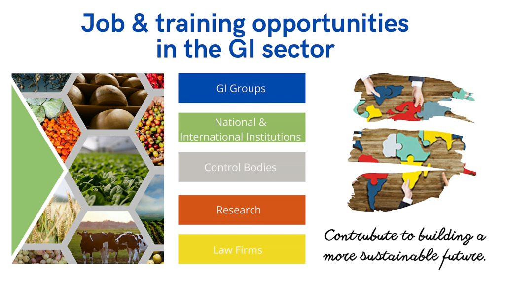 25-11-2022-job-training-opportunities-in-the-gi-sector-origin